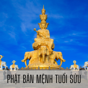 Lá Bồ Đề Phật Bản Mệnh Tuổi Sửu Hư Không Tạng Bồ Tát Nguồn Sức Mạnh Trí Tuệ và Nhẫn Nại