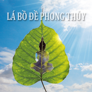 Lá Bồ Đề Phong Thủy Biểu Tượng Tâm Linh Mang Lại May Mắn Và Bình An