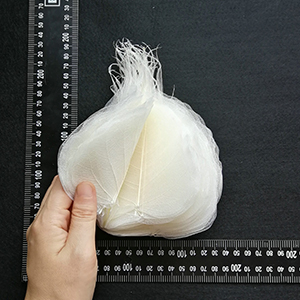 Xưởng sản xuất Lá Bồ Đề uy tín, giá tốt, chất lượng hàng đầu ở Đắk Lắk